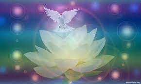 God’s Bigger And Higher Purpose. 3